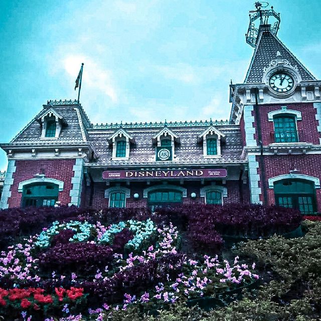 Disneyland Experience!