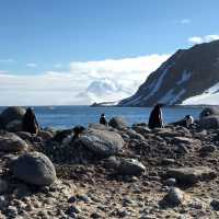 Antarctic Expedition