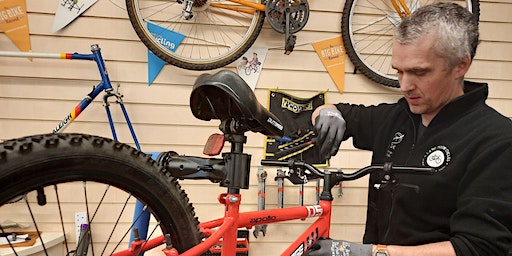 Get your head on right - headset bike maintenance | Lang Toun Cycles