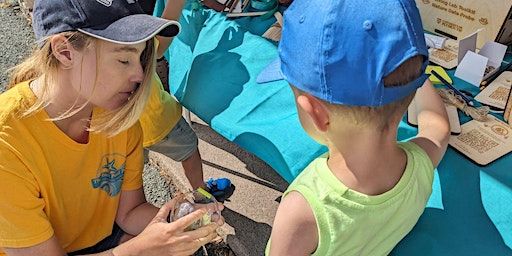 Design Exchange Showcase - Workshop | The Design Museum