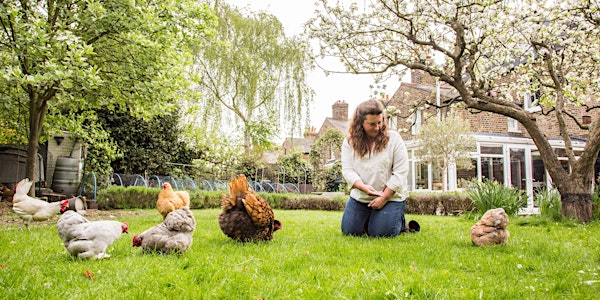 Family Feathers and Fun | Hen Corner