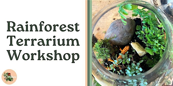 Rainforest Terrarium Workshop | B. Willow