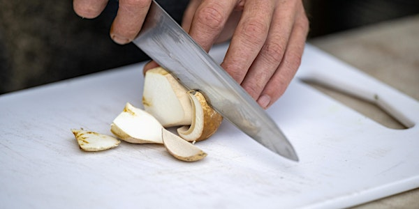 Sussex Fungi Foraging Walk with vegan Lunch Full Day Forage | Urban Forage = it will be at a secret location not here!
