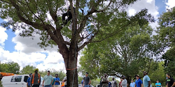 ADVANCED Tree Trimmer Certification - ENGLISH | This class is at UF/IFAS Extension Auditorium.