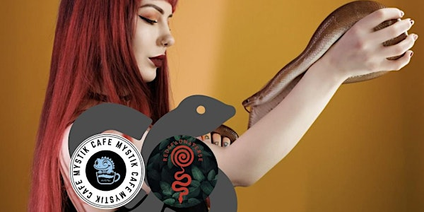 Reptile Educational Workshop | Mystik Cafe