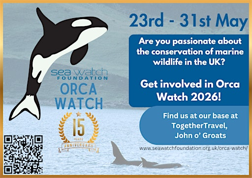 Orca Watch Whaley Ceilidh! | John O'Groats Mill