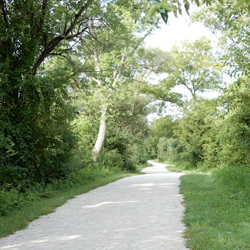 Where Nature Meets Soul: A Writing Walk in the Woods | Greene Valley Forest Preserve
