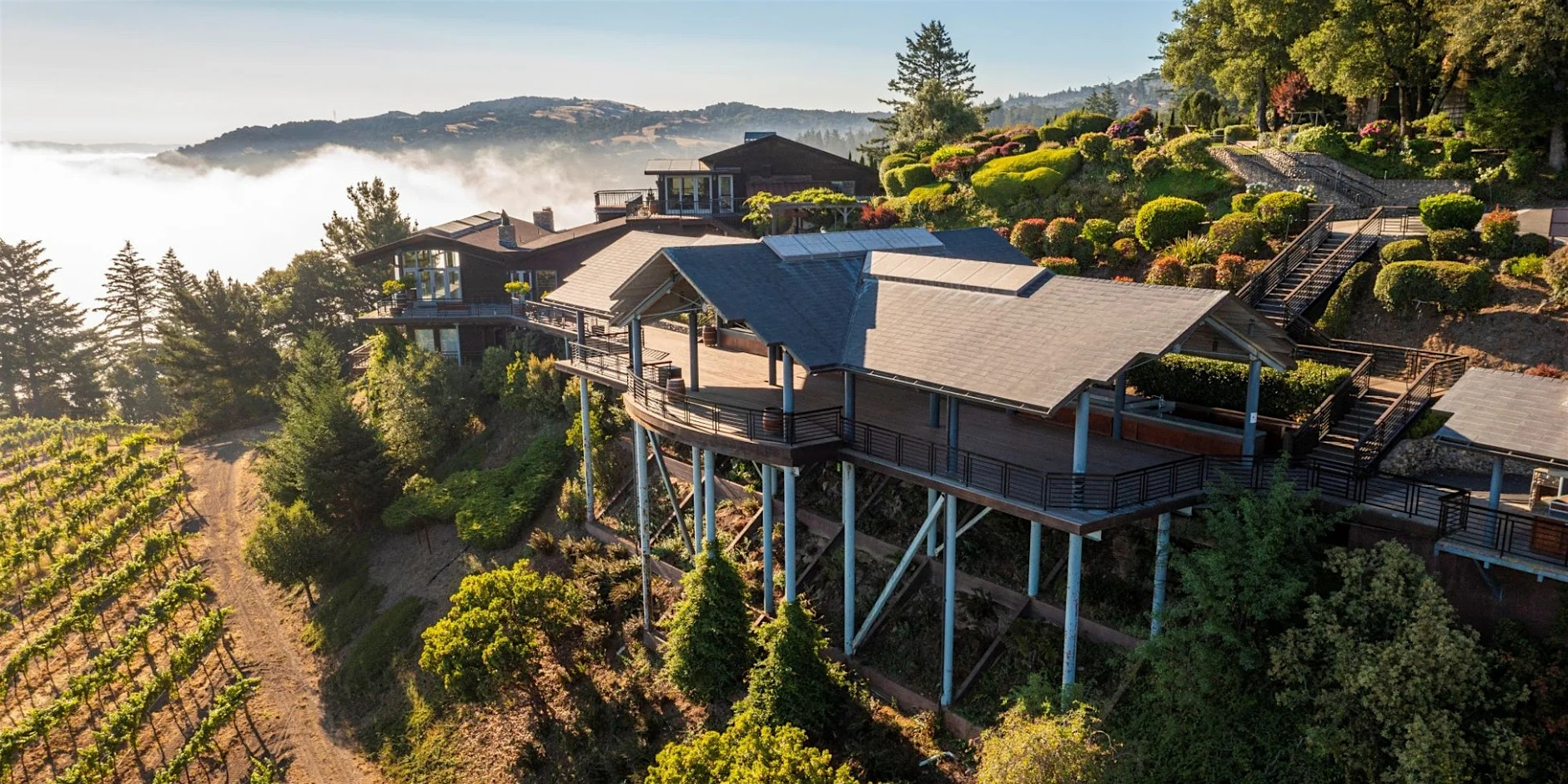 Fall at Fogarty: Harvest & Harmony | Thomas Fogarty Winery