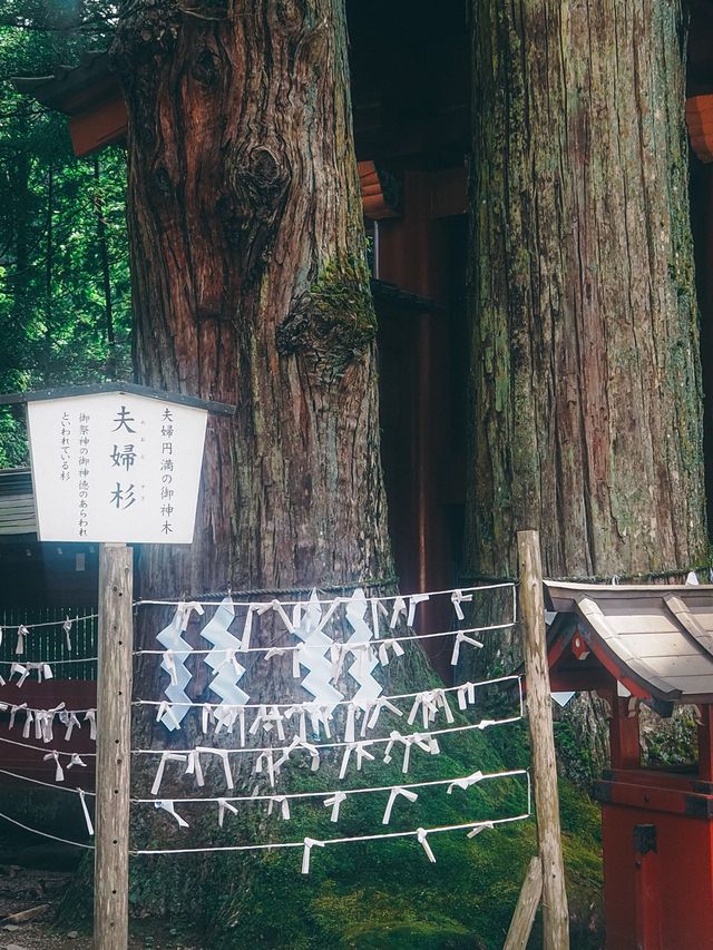 日光二荒山神社