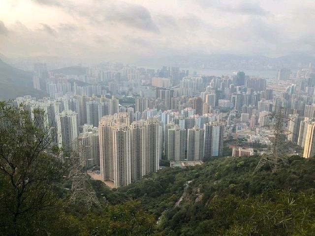 Lion Rock Country Park. 