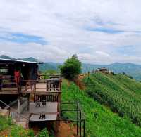 TAKE HILL COFFEE คาเฟ่บนถนนลอยฟ้าภูหลวง