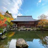 【紅葉巡り】湖東三山 百済寺