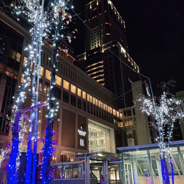 札幌　ホワイトイルミネーション[札幌駅南口会場]