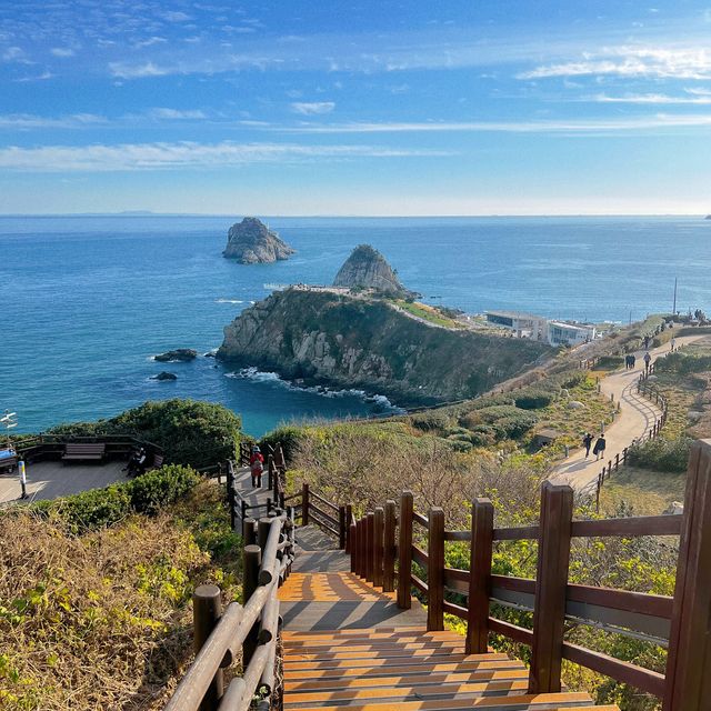 부산의 해안 산책로, 이기대 오륙도 스카이워크🌊