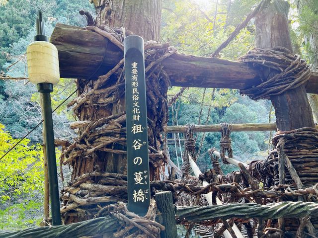 【徳島】祖谷渓谷のかずら橋