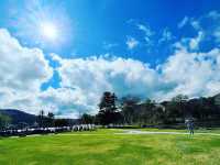 白樺湖(長野県)