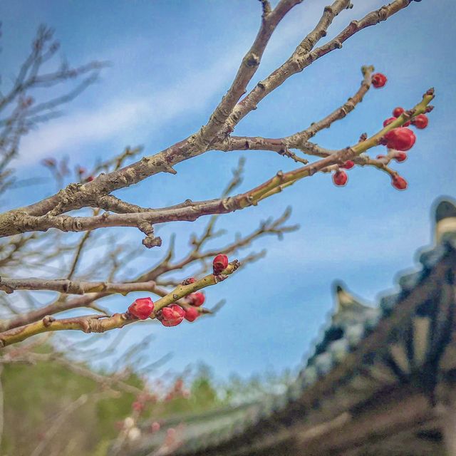 알쓸신잡2 진도 여행의 그 곳, 운림산방☁️