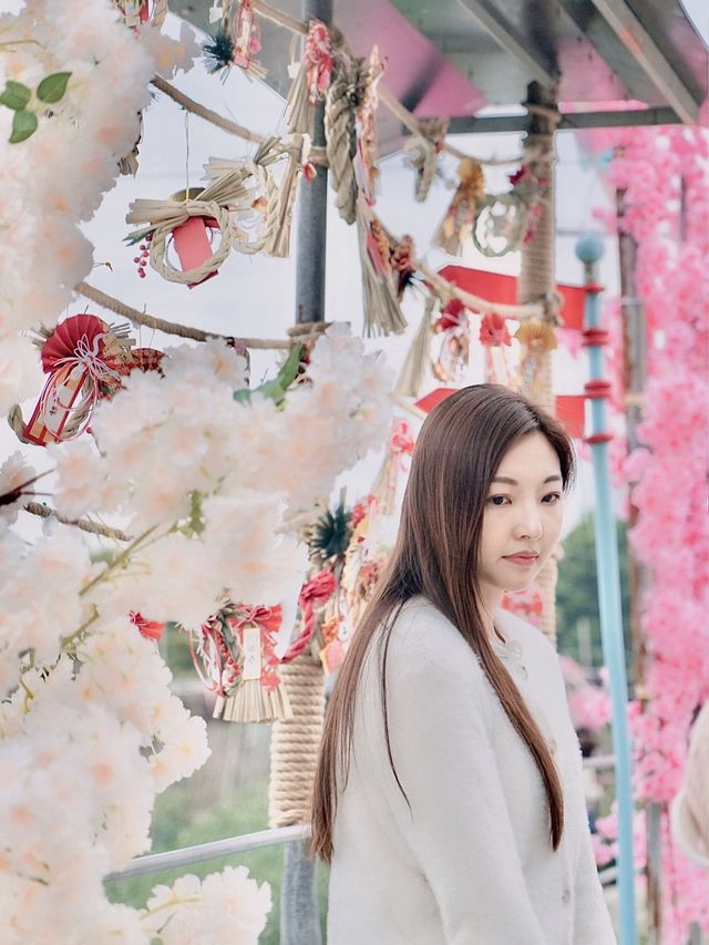 💕信芯園 最新日式展覽