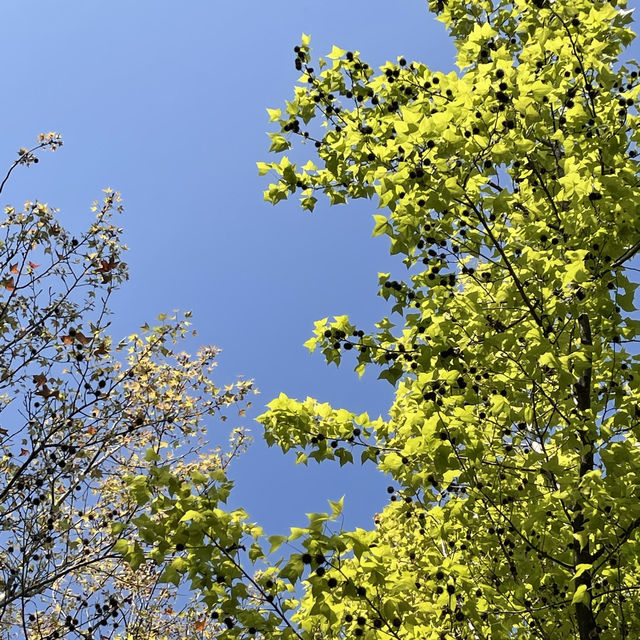 超大型公園草地同設施