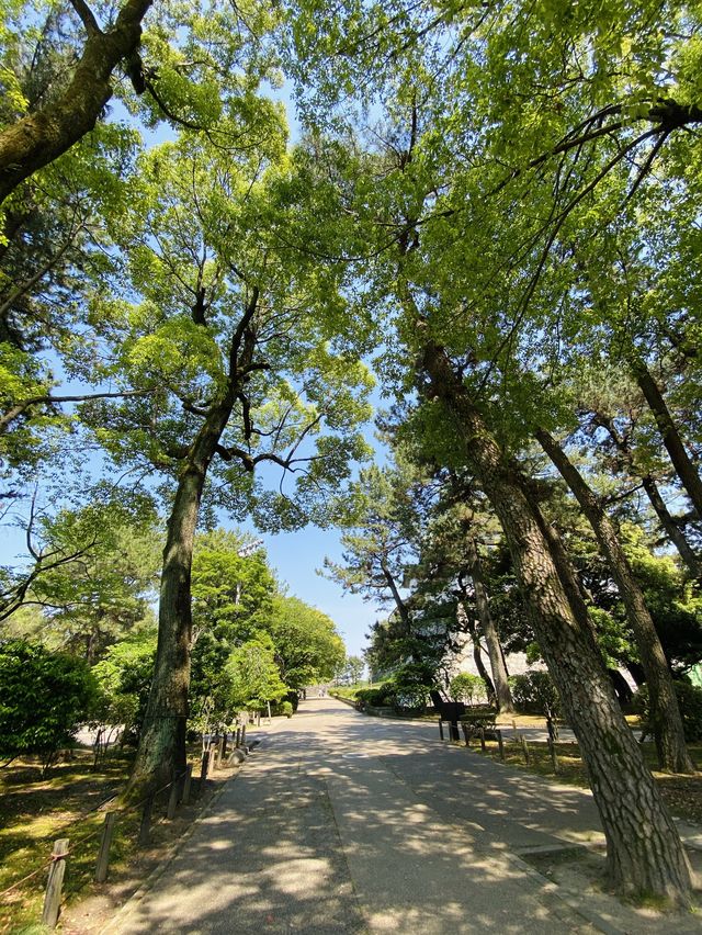 【名古屋】日本100名城に選定‼️なごやに来たらココ！