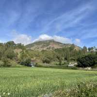 Mount Batur Sunrise Hike