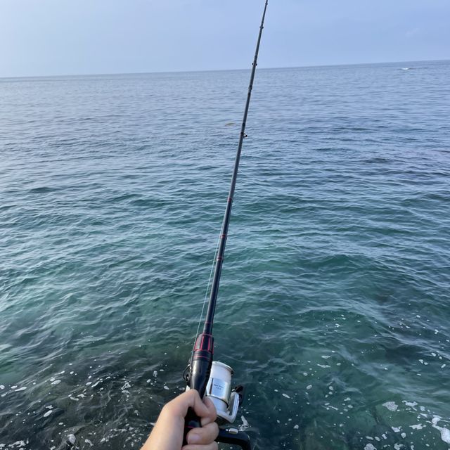 강릉에서 아빠랑 바다낚시하기 🌊🐟