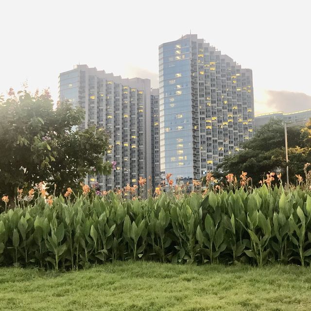 Hung Hom Promenade: Pet-Friendly, Good for Walking, Jogging, and Relaxing by the Sea
