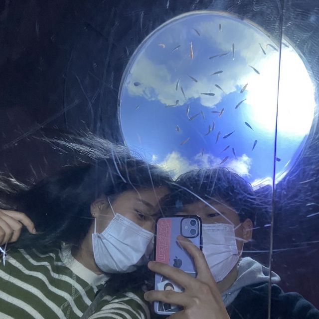 바닷속을 도시로 통채로 옮겨놓다🐳