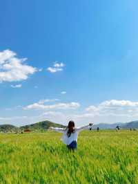경주 핫플 여행지 모아모아💚 