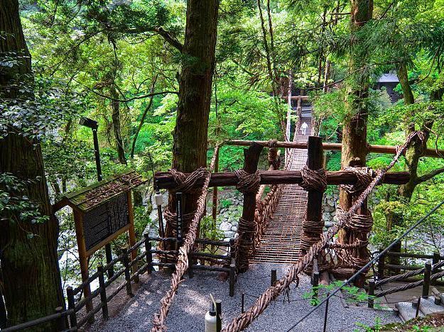 The Vines Bridge