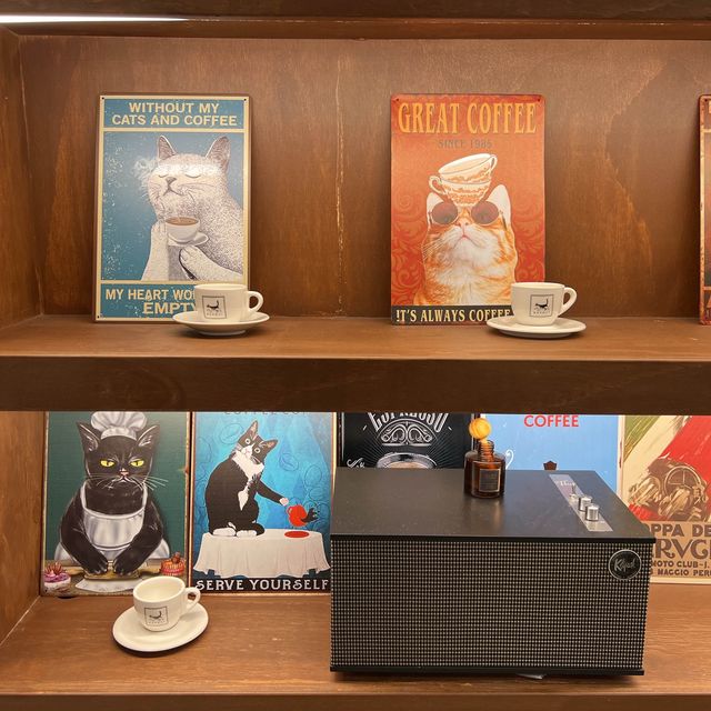 韓国/ソウル【延南洞】猫好きオーナーさんのおしゃれカフェ☕️🐈
