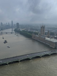 Amazing View - London Eye 