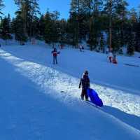 Experience snow ❄️ in Lee Meadows-Las Vegas