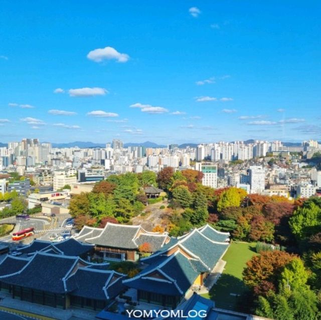 서울 신라호텔 호캉스_비즈니스디럭스 영빈관뷰 룸투어
