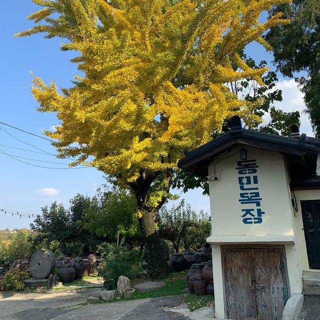 천안에 이런 카페가 ? 