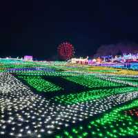千葉県！東京ドイツ村のイルミネーション①