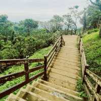 Tagaytay Picnic Grove