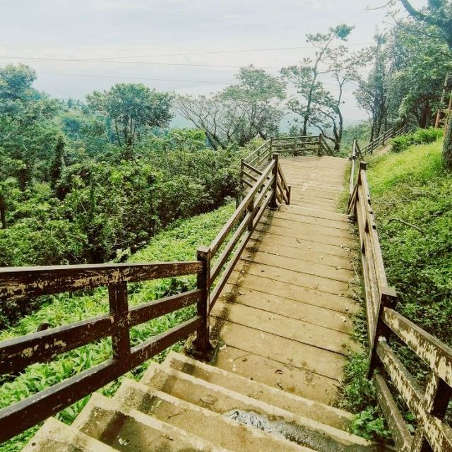 Tagaytay Picnic Grove