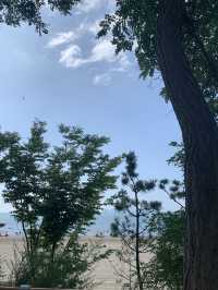 서울 근교 해수욕장 피크닉 :: 방아머리 해수욕장🏖