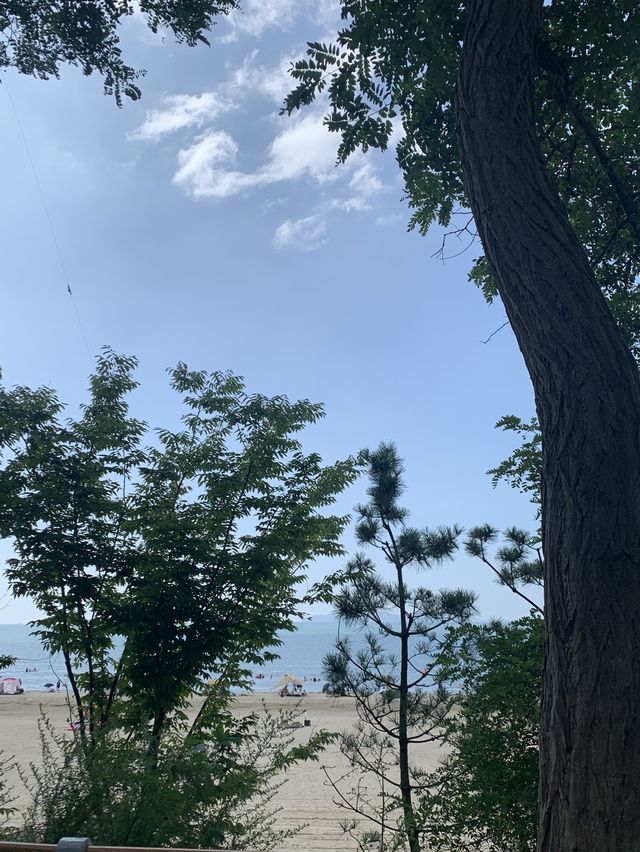 서울 근교 해수욕장 피크닉 :: 방아머리 해수욕장🏖