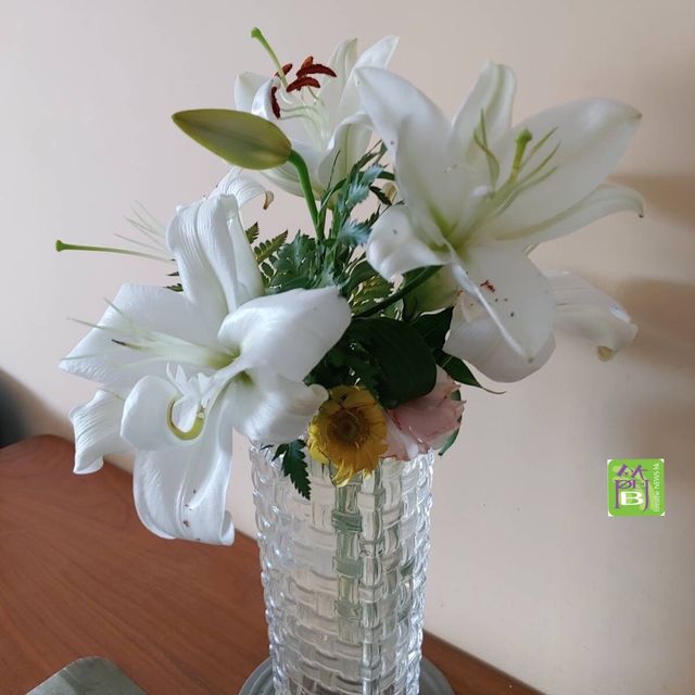 日本秋祭好多活動在地支持日本