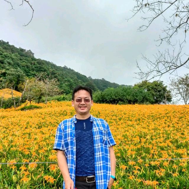 20210901赤科山汪家古厝金針花況