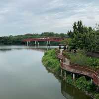 Lorong Halus wetland park 