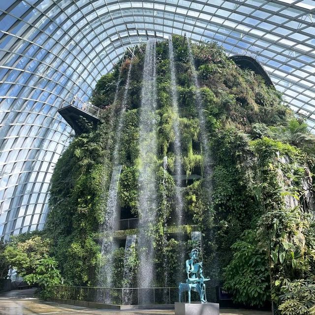 Cloud Forest