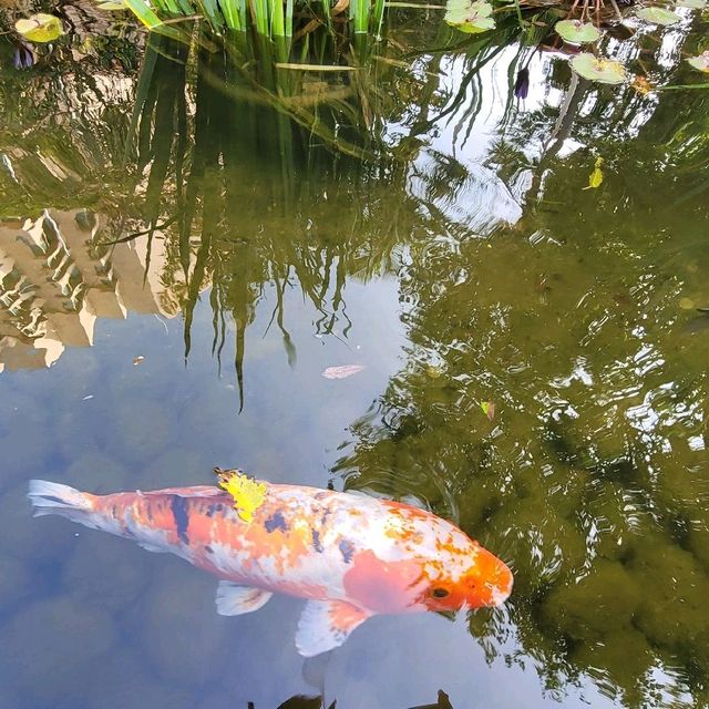 浪漫的屯門黃金海岸 