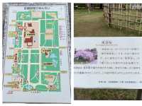 京都　KYOTO SAKURAめぐり❗️京都御苑の車返桜に感動❗️