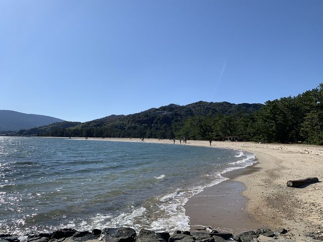 カエル島