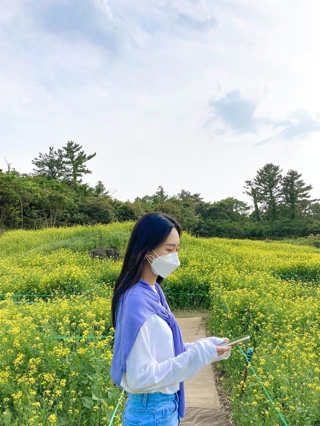 짱구네 유채꽃밭::천원으로 즐기는 조용한 유채꽃밭