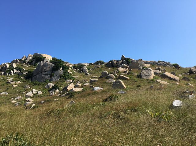 蒲台高崗上觀景