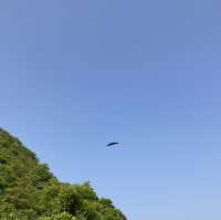 走秘道挑戰香港「三尖」之釣魚翁